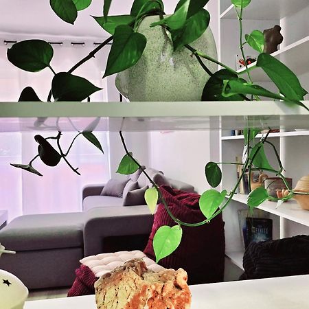 Micasatucasa Tirana公寓 外观 照片