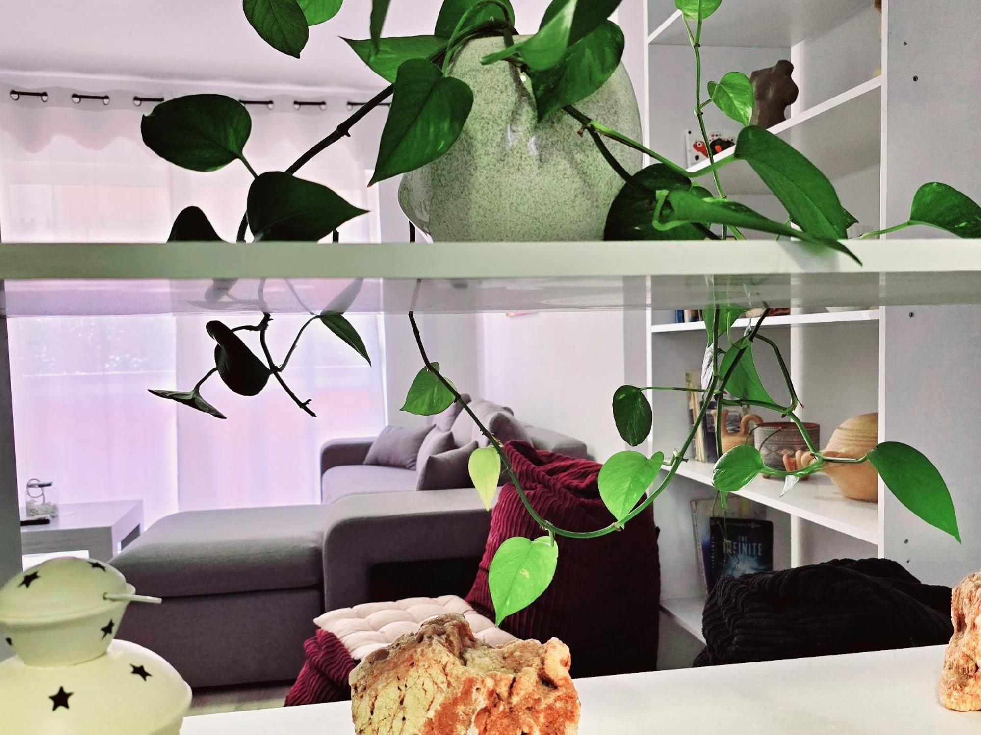 Micasatucasa Tirana公寓 外观 照片